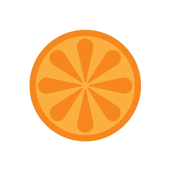 Orange citrus fruit — Stock Vector