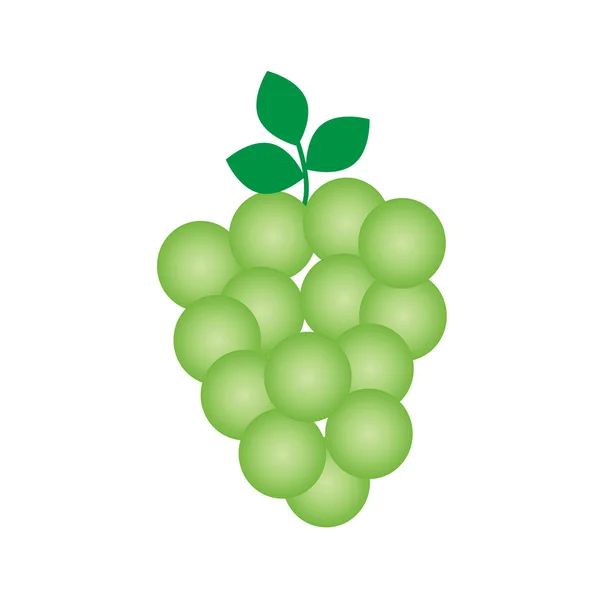 Uvas frescas en la ilustración de la vid — Vector de stock