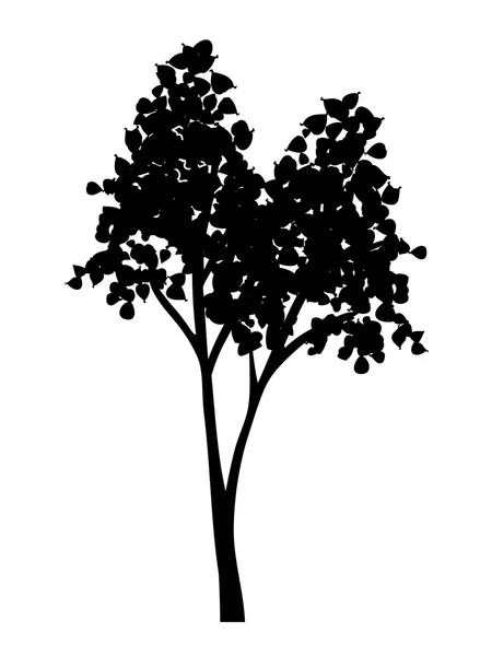 Sílhueta de árvore com folhas — Vetor de Stock