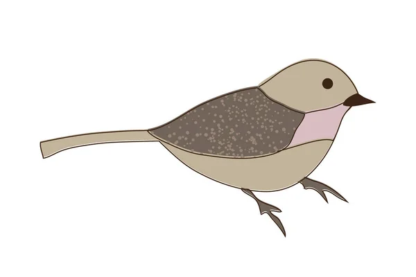 Handgetekende vogel — Stockvector