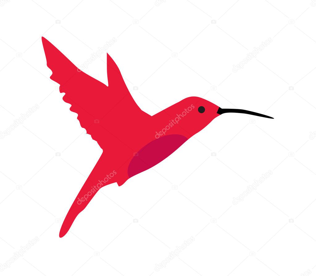 Hummingbird (colibri) icon vector illustration