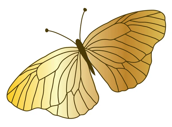Altın Kelebek portre — Stok Vektör