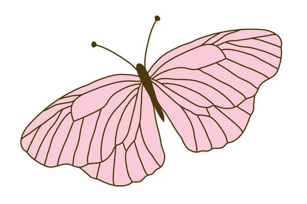 Mariposa rosa primer plano — Archivo Imágenes Vectoriales