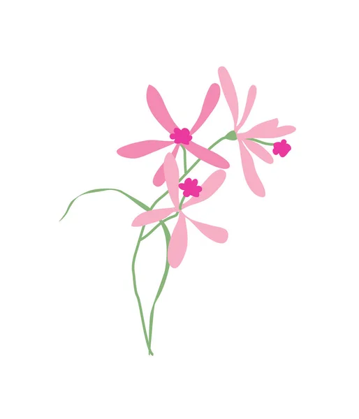Малі рожеві орхідеї — стоковий вектор