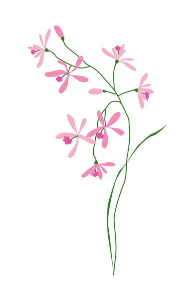 Orquídea rosa pequena — Vetor de Stock