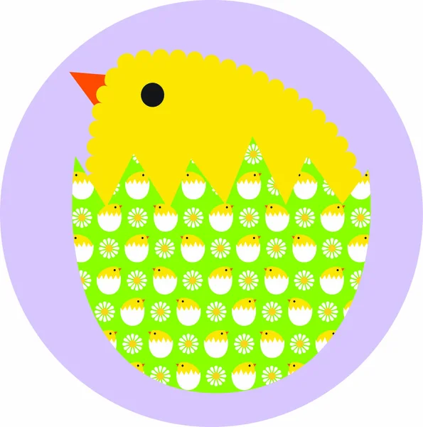 Easter chick in cracked shell — Stock Vector