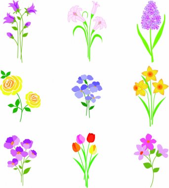 renkli bahar çiçekleri