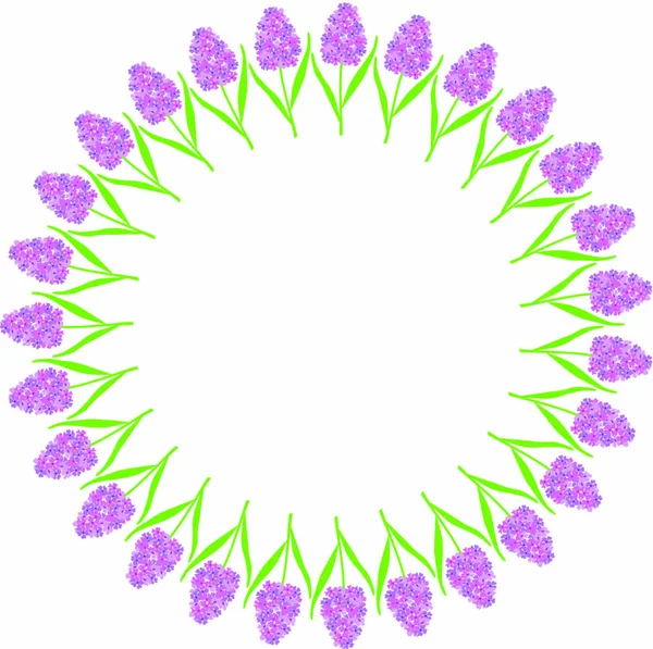 Hyacinth blommor cirkel ram — Stock vektor