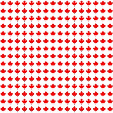 Kanada maple leaf arka plan