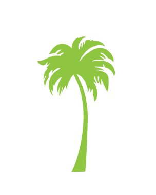 Palmiye ağacı silueti