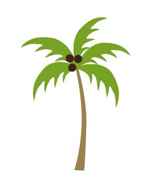 karikatür palmiye ağacı