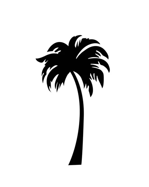 Palmboomsilhouet — Stockvector