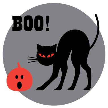 Halloween siyah kedi 