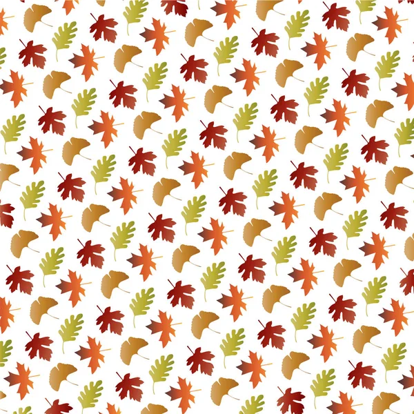 Őszi levelek mintával — Stock Vector