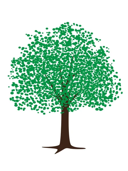 Zöld fa levelekkel — Stock Vector