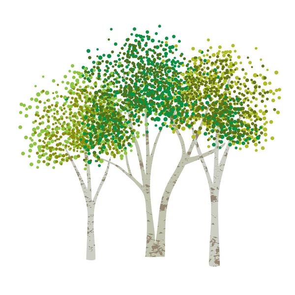 Hand Drawn Aspen Birch Trees — Stock Vector