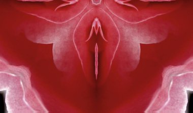 sex, pussy, vulva, clitoris, vagina, Orgasm, love, spring season, bloom, petal, fresh, colorful, romantic,flower, Erotic rose flower, Sex pink,  Moisture pink,  Flower imitating the female sex, clipart