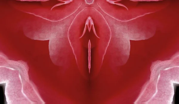 Sex Pussy Vulva Clitoris Vagina Orgasm Love Spring Season Bloom — Stockfoto