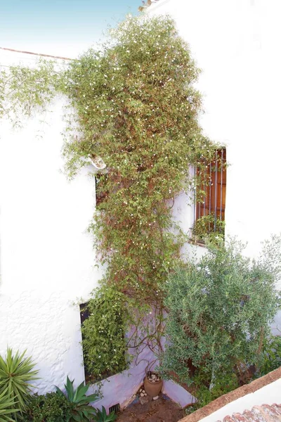 Typische Hoekjes Van Het Andalusische Dorpje Frigiliana Toeristische Bestemming Wit — Stockfoto