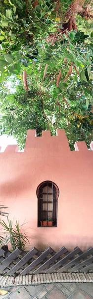 Palma Jardim Botânico Almunecar Andaluzia Espanha Destino Turístico Aldeia Branca — Fotografia de Stock