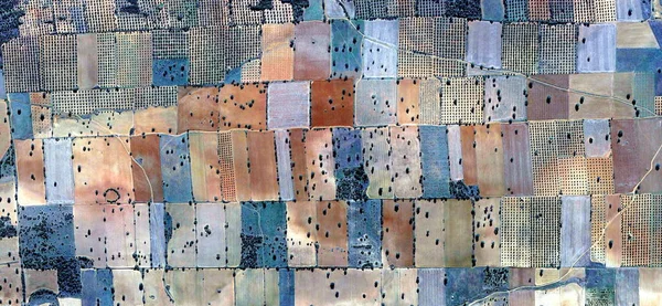 Kolory Ziemi Hołd Dla Picassa Abstrakcyjna Fotografia Pól Hiszpańskich Powietrza — Zdjęcie stockowe