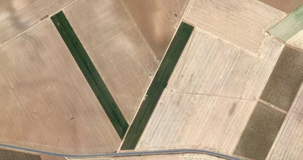 Vendetta Tribute Picasso Description Spain Fields Air Air View Representation — 스톡 사진