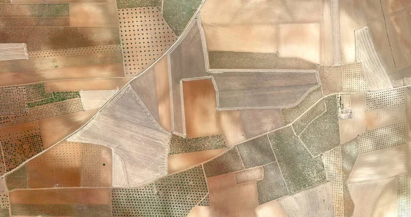 Kağıt papyon, Picasso 'ya hürmet, havadan İspanya arazilerinin soyut fotoğrafları, hava görüşü, insan işçi kamplarının temsili, soyut dışavurumculuk, soyut doğalcılık.,