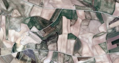 Kırsal kaplumbağa, Picasso 'ya övgü, havadan İspanya sahalarının soyut fotoğrafları, hava manzarası, insan çalışma kamplarının temsili, soyut dışavurumculuk, soyut doğalcılık,