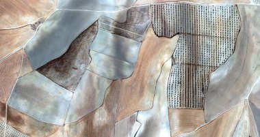 Picasso 'ya hürmet eden sevimli bir kedi yavrusu gördüğümü sandım. Havadan İspanya arazilerinin soyut fotoğrafı, hava manzarası, çalışma kamplarının temsili, soyut dışavurumculuk, soyut doğalcılık.,