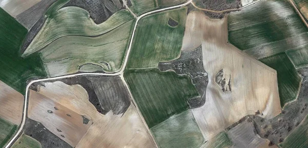 牧羊犬 向毕加索致敬 从空中抽象地拍摄西班牙田野 展示人类劳改营 抽象地 立体派 抽象地自然主义 — 图库照片