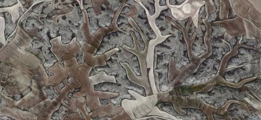 Avcılık, kinaye, Matisse 'e övgü, havadan İspanya sahalarının soyut fotoğrafları, hava manzarası, çalışma kamplarının temsili, soyut, kübizm, soyut doğalcılık.,