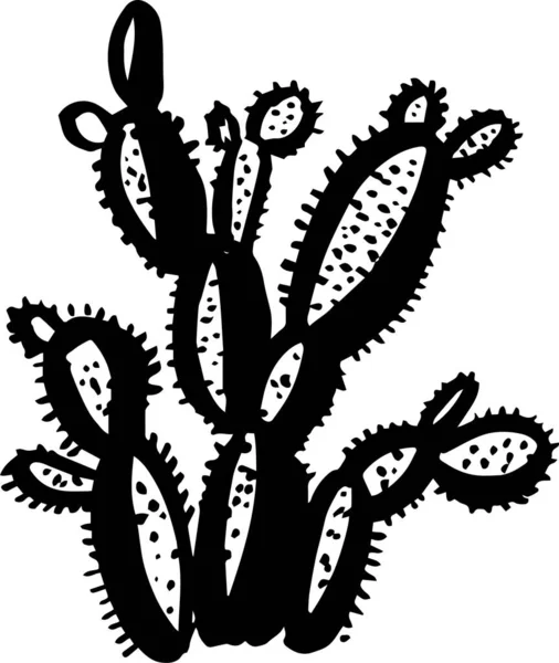 Cactus Illustrazione Disegnata Mano Elemento Isolato Design — Vettoriale Stock