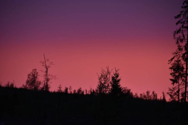 Ormanda bir akşamdan sonra harika bir gün batımı. Doğa gerçek güzelliktir..