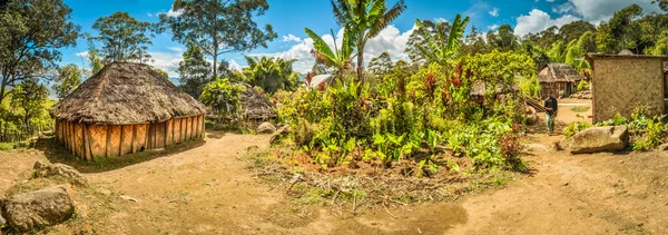 パプア ニューギニアの村 — ストック写真