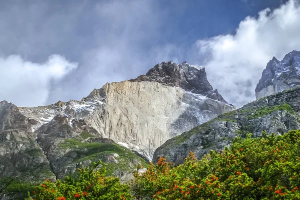 Şili'deki Park — Stok fotoğraf