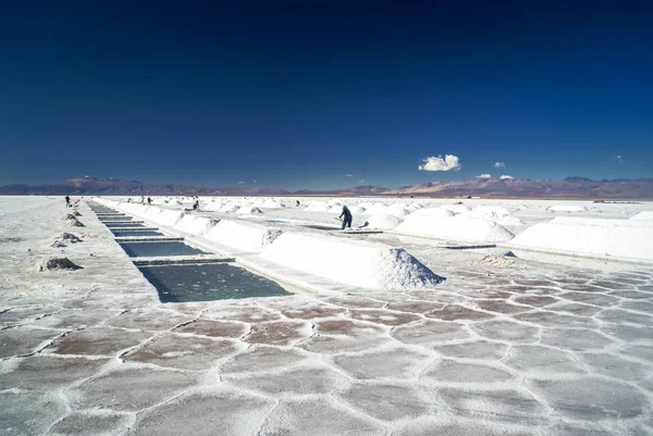 Mines de sel en l'Argentine — Photo