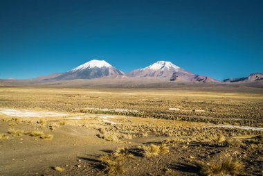 Parque Nacional Sajama