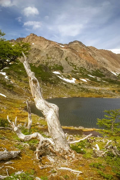 Greenery in mountain range — Stock Photo, Image