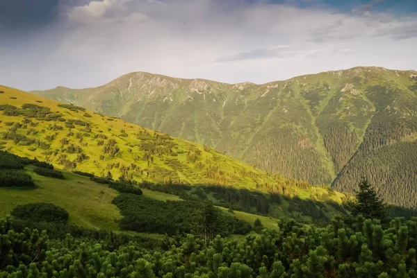 Verde in Slovacchia — Foto Stock