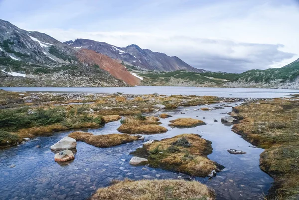 Wild nature and river — Stock Photo, Image