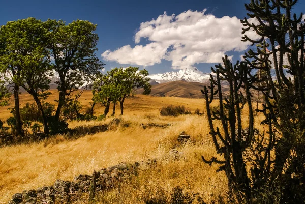 Cordillera negra Peruban — Stock Fotó