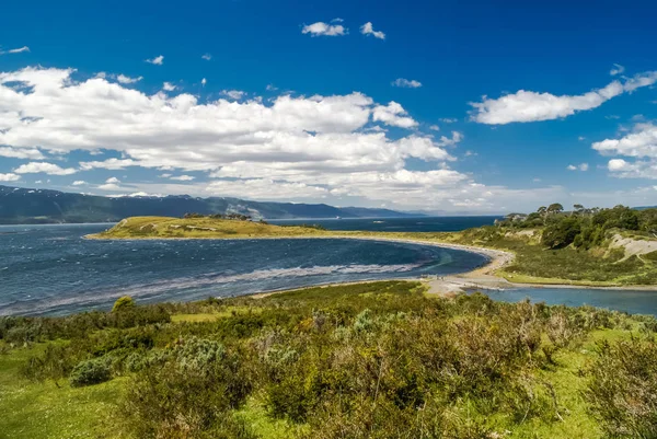 Chile med grönska — Stockfoto