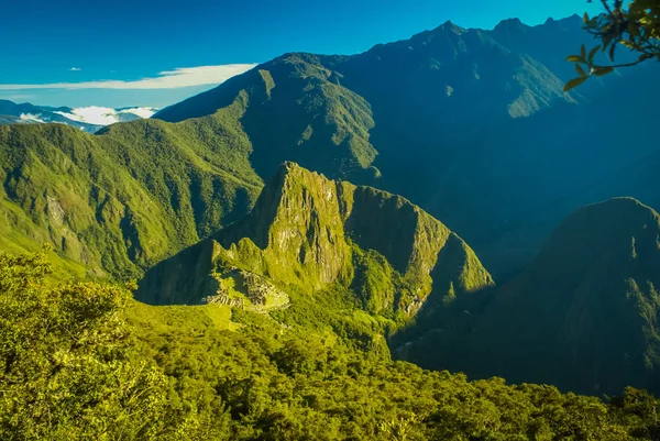 Verde in Perù — Foto Stock