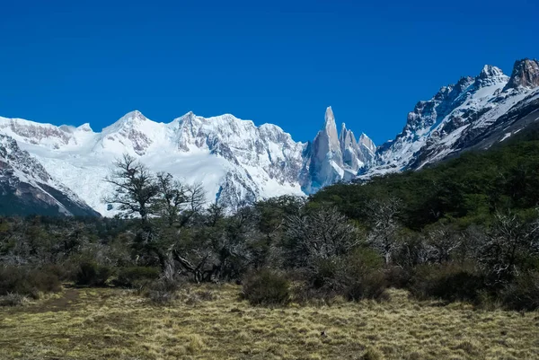 Vilda naturen i Argentina — Stockfoto