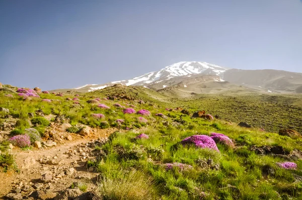 Stratovulkán Mount Damavand — Stock fotografie