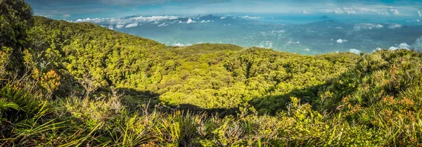 Wilderness in North Sulawesi — Stock Photo, Image