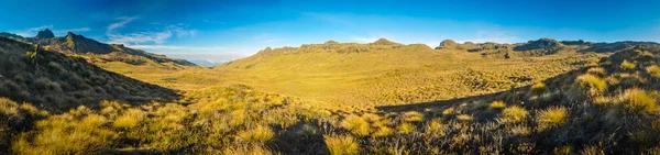 Desierto solitario en Papúa — Foto de Stock