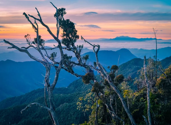 Morning view in Papua — Stock Photo, Image