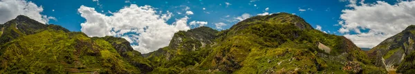 Grönska i Wamena — Stockfoto