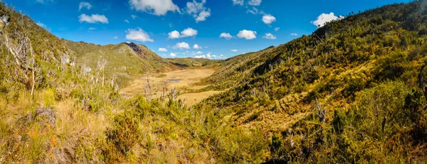 Desierto a la luz del sol —  Fotos de Stock